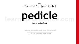 Pronunciation of Pedicle  Definition of Pedicle [upl. by Owades]