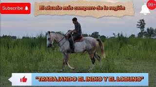 ‼️⚠️COMO TRABAJAR CABALLOS NUEVOS EN LOS BARRILES X 3 🏇🛢🛢🛢✅️ [upl. by Lamdin878]