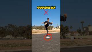 Roundhouse kick Tutorial [upl. by Corotto]