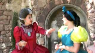 A Proposal for Cinderellas Wicked Stepsisters in Walt Disney World [upl. by Greenwell]