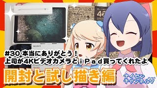 開封の儀！上司が4KビデオカメラとiPadPro買ってくれたよ。第30回【バーチャルYouTuber でアナログ放送なナイセン】 [upl. by Nylaj360]