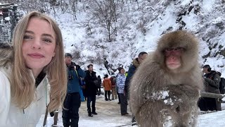 Day 4 Visiting Snow Monkeys Nagano Japan [upl. by Nnylkcaj844]