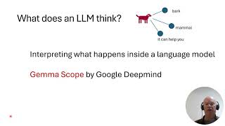 Interpretability within LLMs with Gemma Scope [upl. by Aerdnek]