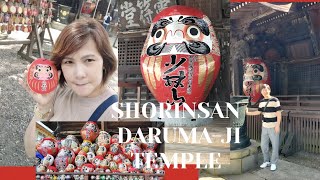 Shorinsan Darumaji Temple  the home of daruma doll 🪆 [upl. by Cissy]