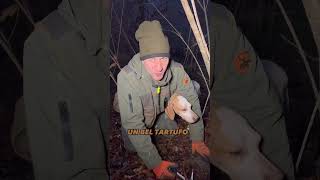 Tartufo bianco gigante in diretta [upl. by Hallock]