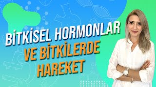 BİTKİSEL HORMONLAR VE BİTKİLERDE HAREKET  Seda Hoca Biyoloji 🧬 ayt2024 [upl. by Eenet]