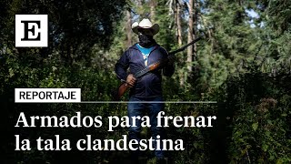 MÉXICO  Levantarse en armas para proteger los bosques de la mariposa monarca [upl. by Yance]