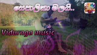 sepalika malaiසෙපාලිකා මලයි cove song vidurnga music [upl. by Inalaeham]