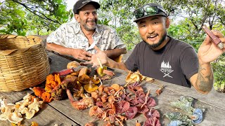 17 Edible Mushrooms I’ve Never Tried Foraging with Expert Mycologist  Nicaragua [upl. by Noyrb]