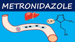 Metronidazole  How it acts  Mechanism side effects and uses [upl. by Nagap159]