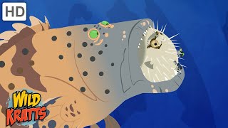 Creature Battles  Every Creature Showdown Part 12 Wild Kratts [upl. by Annairol]