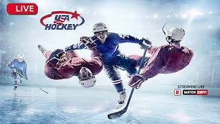 Tomahawk vs Rhinelander Hockey live 2022 Boys Varsity hockey [upl. by Duval]