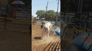 Backyard Bull Riders [upl. by Castorina]