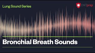 Bronchial Breath Sounds  EMTprepcom [upl. by Arreit408]