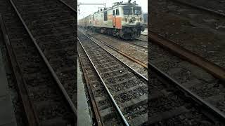 Sakarni Putty Livery WAP7 TKD Jalander city [upl. by Harri110]