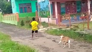 Apesnya lagi bermain malah dikejar anjing [upl. by Howey]