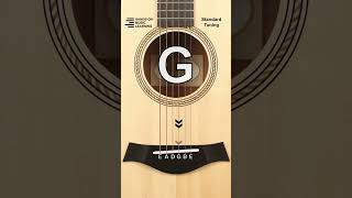 EASY Online Guitar Tuner [upl. by Loftis]