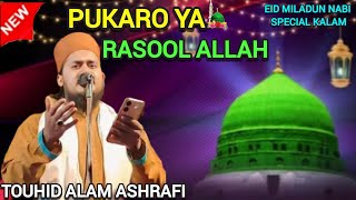 Pukaro ya Rasool Allah। Touhid Alam Ashrafi।gojol kalam । [upl. by Constancia271]