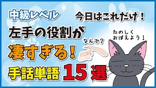 【手話単語】今回覚えるのは右手の動きだけ！左手の役割がすごい手話表現を紹介します！左手を水平にするだけでもこんな意味があるんだ！考えた人天才か！受付、地下鉄、合格、最高、なんで？など【中級レベル】 [upl. by Lorraine373]