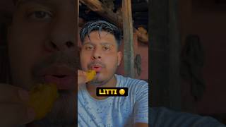 Bihar Ka Litti Khaya 🤤 minivlog vlog [upl. by Atsed]