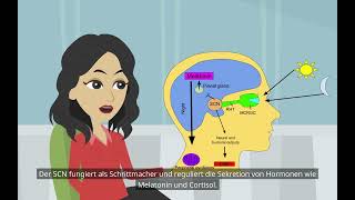 Was sind zirkadiane Rhythmen Grundlagen der Psychologie Biologische Rhythmen [upl. by Kobe]