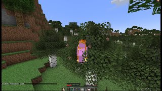 Baablu Joins the Lifesteal SMP Full VOD [upl. by Ahcirt]