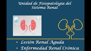 Lesión Renal AgudaEnfermedad Renal Crónica [upl. by Malamut]