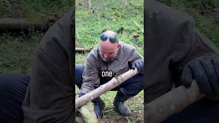 Survive cold Night WITHOUT Sleeping Bag survivalhacks survival [upl. by Onin]