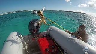 Lobster Bimini Bahamas [upl. by Aylsworth208]