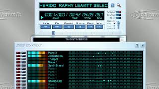 MIDI HERIDO RAPHY LEAVITT [upl. by Margalit]