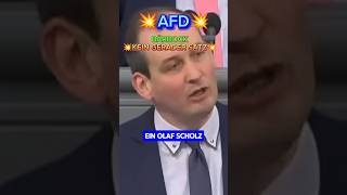 💥AFD💥 SCHOLZ amp BÄBOCK komplett vorgeführt💥 afd spd scholz weidel bärbock diegrünen bundestag [upl. by Hait]