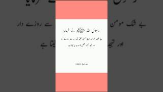 Hadees Shareef videoshortsfeed hadees islamicscripture [upl. by Ahsiym759]