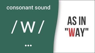 Consonant Sound  w  as in quotwayquot – American English Pronunciation [upl. by Garibald]