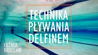 Technika pływania delfinem w czterech krokach [upl. by Niattirb]