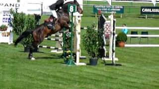 ♂ Nerios du Banco jumping stallion SF by Glory du Banco [upl. by Nauqet]