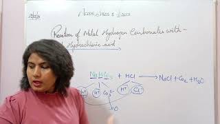 Action of Hydrochloric Acid on Metal Hydrogen Carbonate Metal Bicarbonate [upl. by Hogue740]