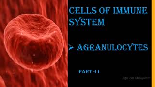 CELLS OF IMMUNE SYSTEM AGRANULOCYTES Part ll Malayalam [upl. by Dirfliw]