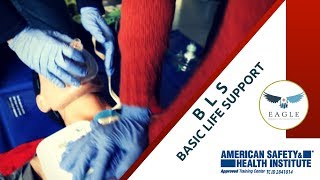 Basic Life Support  BLS Eagle  ASHI  American Safety amp Health Institute [upl. by Atlante]