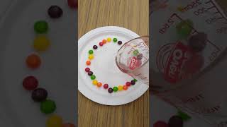 BIGKIDSkittle ExperimentPreschool Lesson for Colors WeekKids First Learning Center [upl. by Ronnica621]