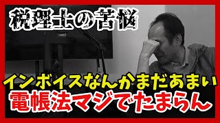 【最悪青色申告の取り消し】電子帳簿保存法の対策してます？インボイスが終わったと思ったら今度は電子帳簿保存法の落とし穴を税理士が解説 [upl. by Ahtnamas]