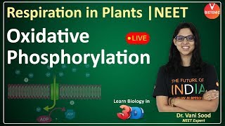 Oxidative Phosphorylation  Respiration In Plants Class 11  NEET 2020 AIIMS  Vani Maam VBiotonic [upl. by Amrita859]