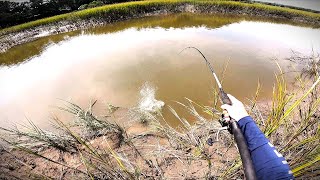 Catching An Inshore Slam From The Bank In Beaufort SC [upl. by Airahs]