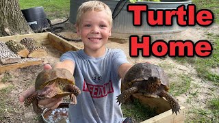 Building Box Turtles a New Outdoor Home [upl. by Freedman]