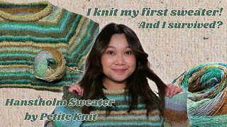 Knitting My First Sweater and Whats My Next Knit  Diary Entry 1 [upl. by Thomajan]