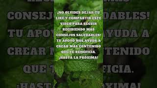 ¿Sabías que La Menta Mejora la Concentración hierbabuena beneficios concentration [upl. by Wagstaff]