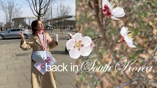 back in south korea 🌸 follow incheon good food and shopping [upl. by Sezen587]