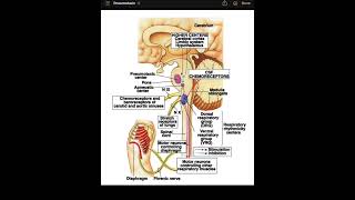 Respiratory physiology passmedicine [upl. by Edeline]