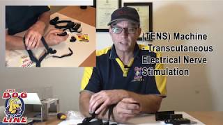 Dog Training Collar Review  PetSafe Basic Remote Trainer ST70 Unboxing [upl. by Aciretal216]