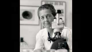 Famous Female Scientists  14 Greatest Female Scientists in History [upl. by Nomma]