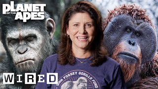 Every Ape in Planet of the Apes Explained  WIRED [upl. by Nolyag]